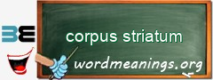 WordMeaning blackboard for corpus striatum